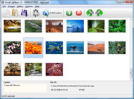 photos galleries with album folders 